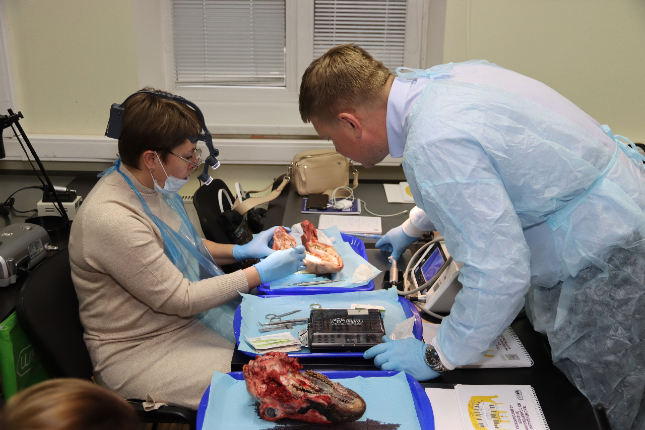 Продвинутый курс по пластике мягких тканей