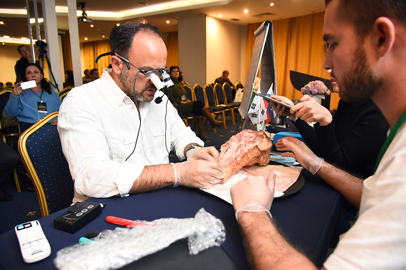 26 октября 2019, Екатеринбург: финальный аккорд Road Show Ховарда Глюкмана