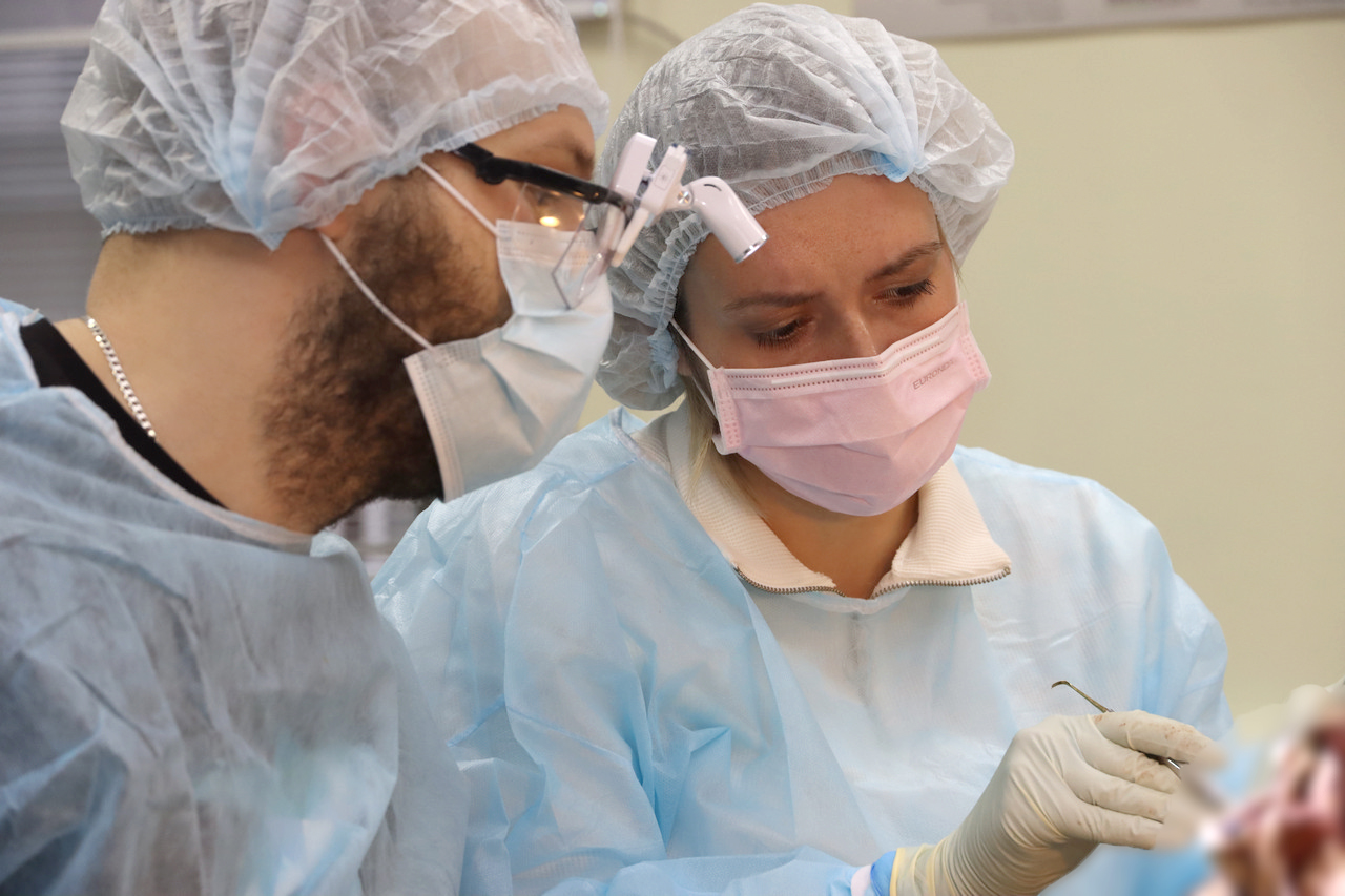 Кадавер-курс Виталия Георгиевича Панцулая 14 ноября