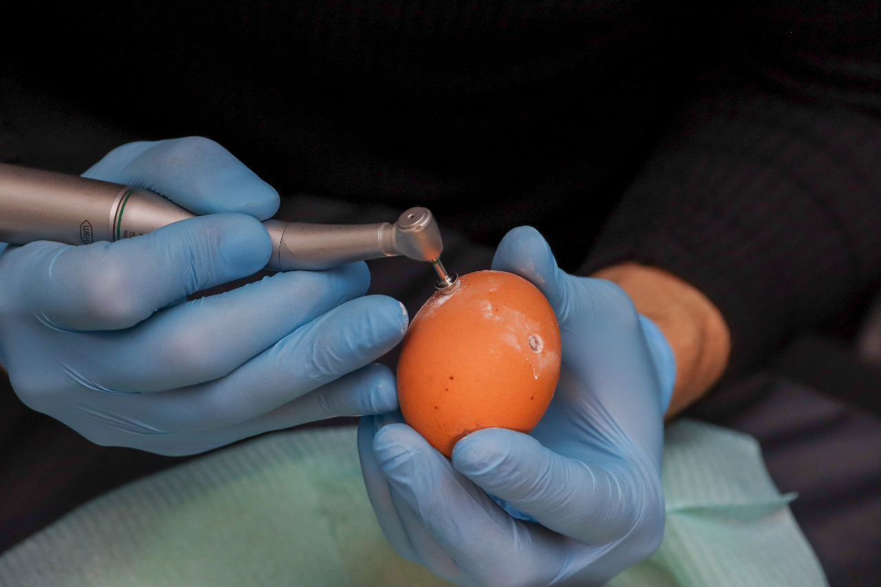 Продвинутый курс по имплантации: костная пластика и синус-лифтинг 13-14 сентября