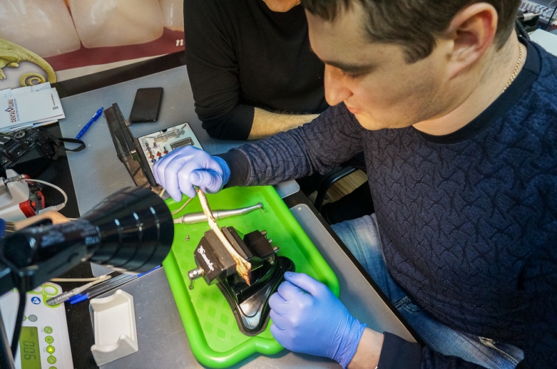 Базовый курс по имплантации в Москве