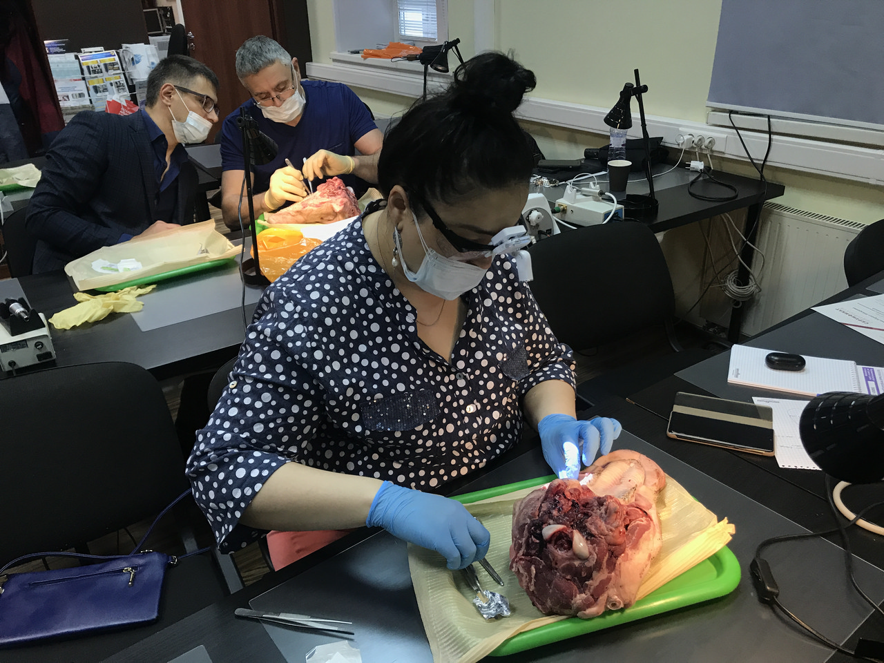 Пластика мягких тканей вокруг имплантатов. Морфологический подход. Пост-релиз 9-10 июня