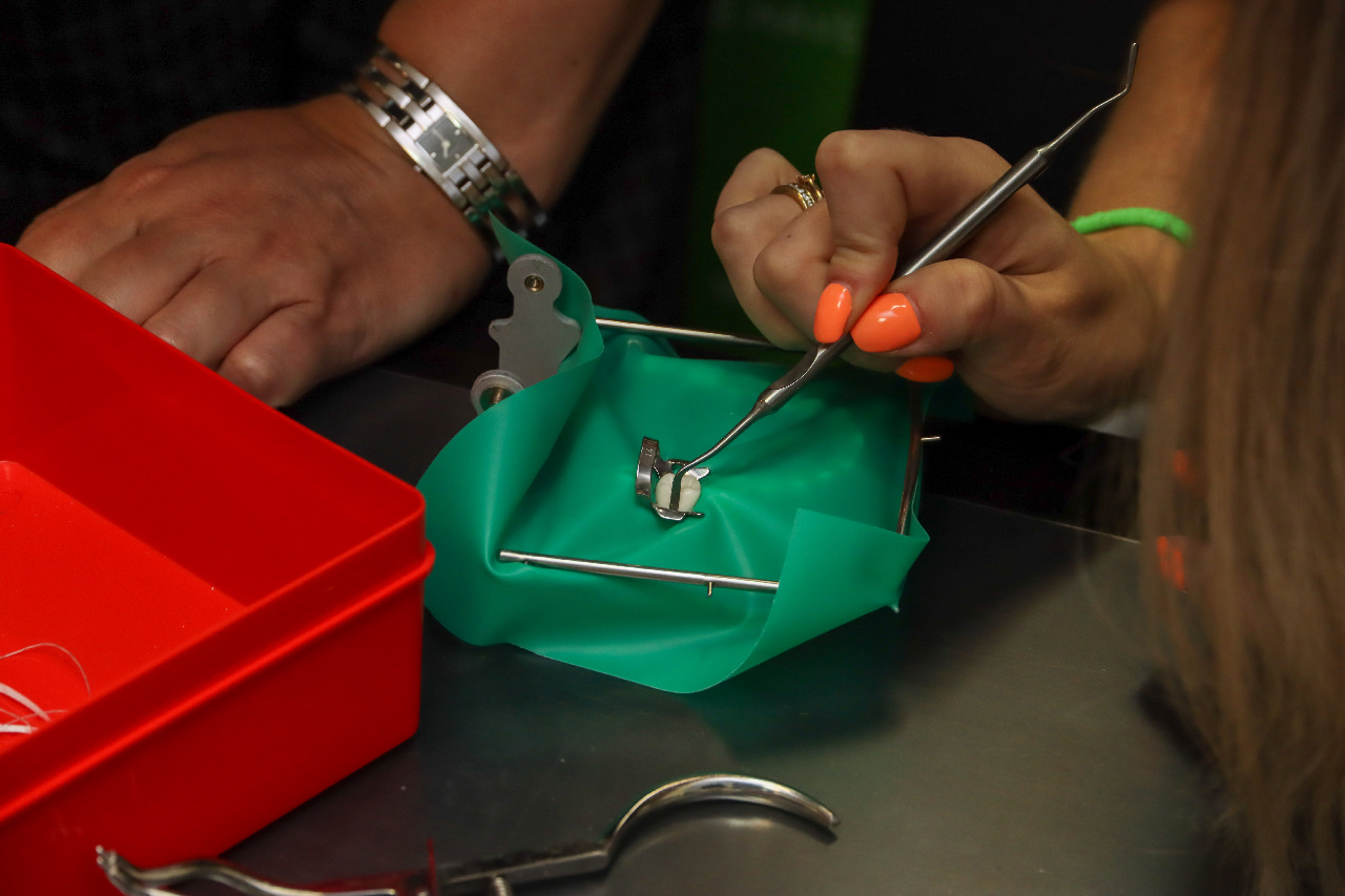 Коффердам. Легкий старт