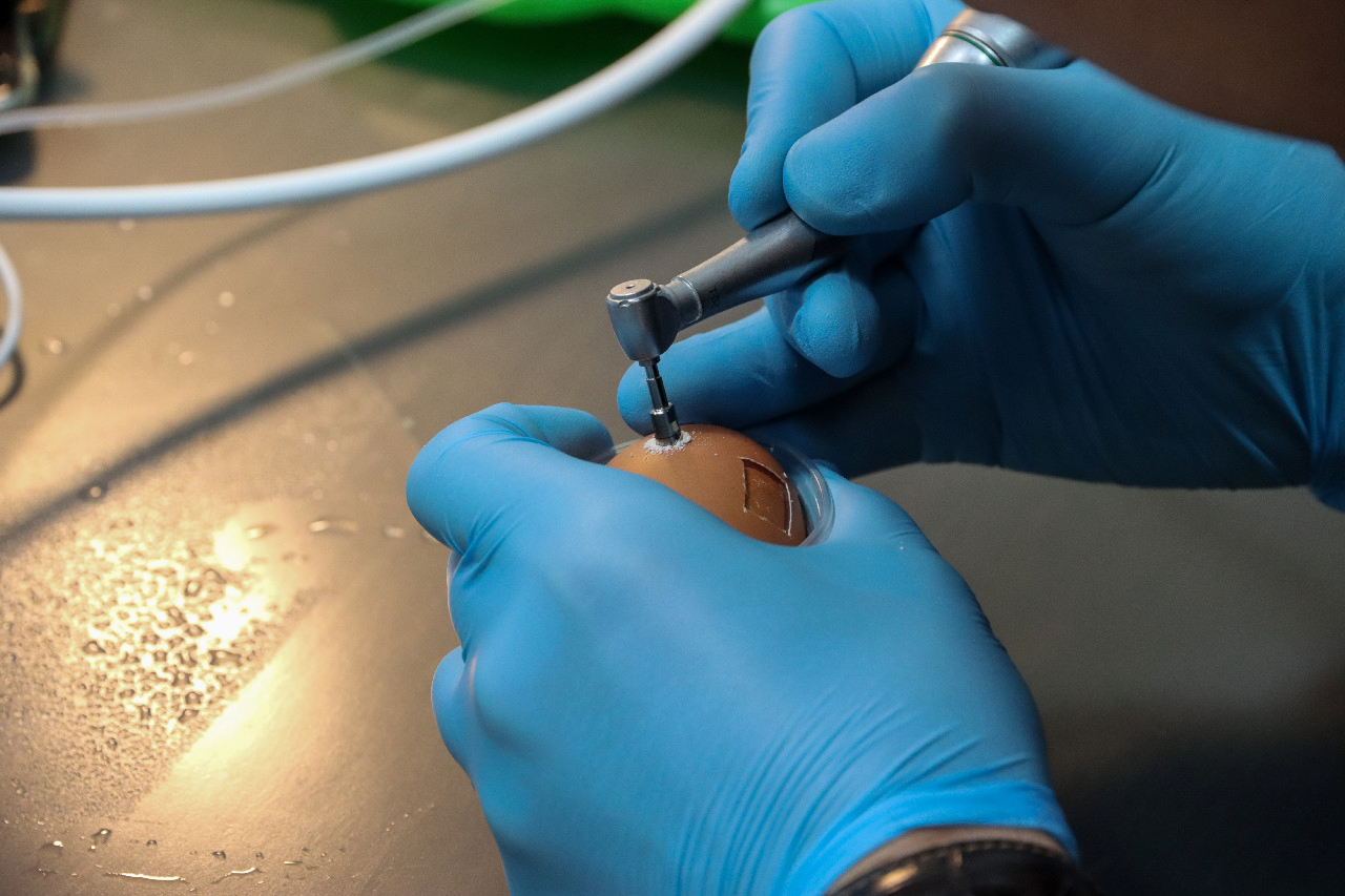 Продвинутый курс по имплантации. Костная пластика и синус-лифтинг