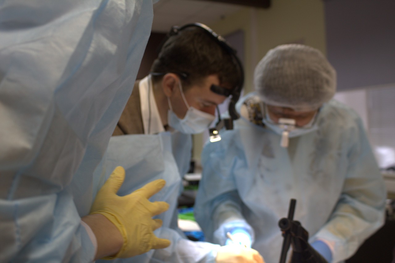 Пост-релиз. Кадавер-курс 1 марта