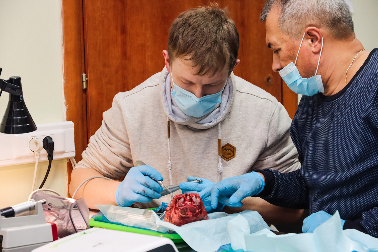 Виталий Панцулая: одномоментная имплантация и немедленная нагрузка