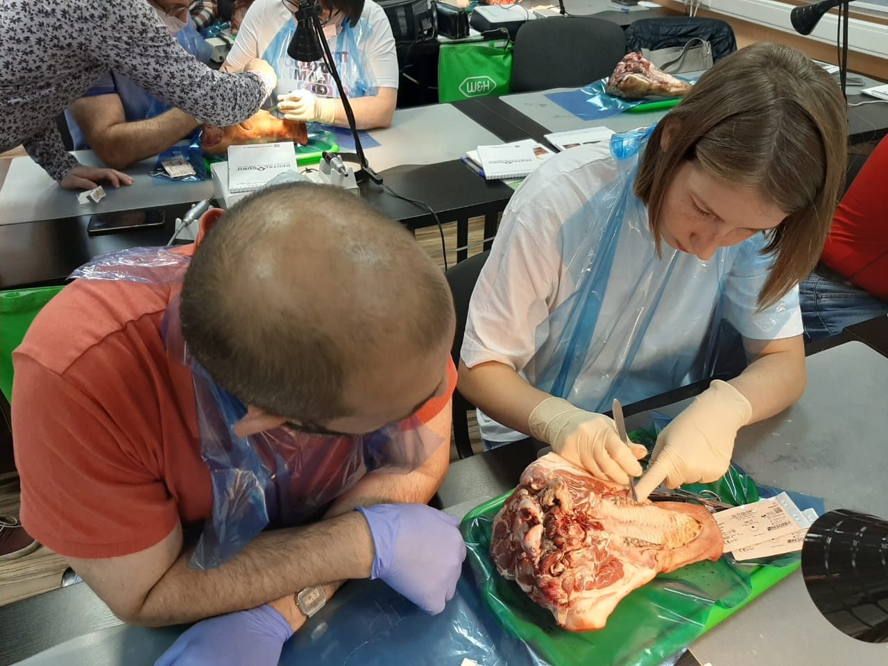 16-17 сентября 2020. Панцулая В.Г. Пластика мягких тканей вокруг имплантатов. Морфологический подход