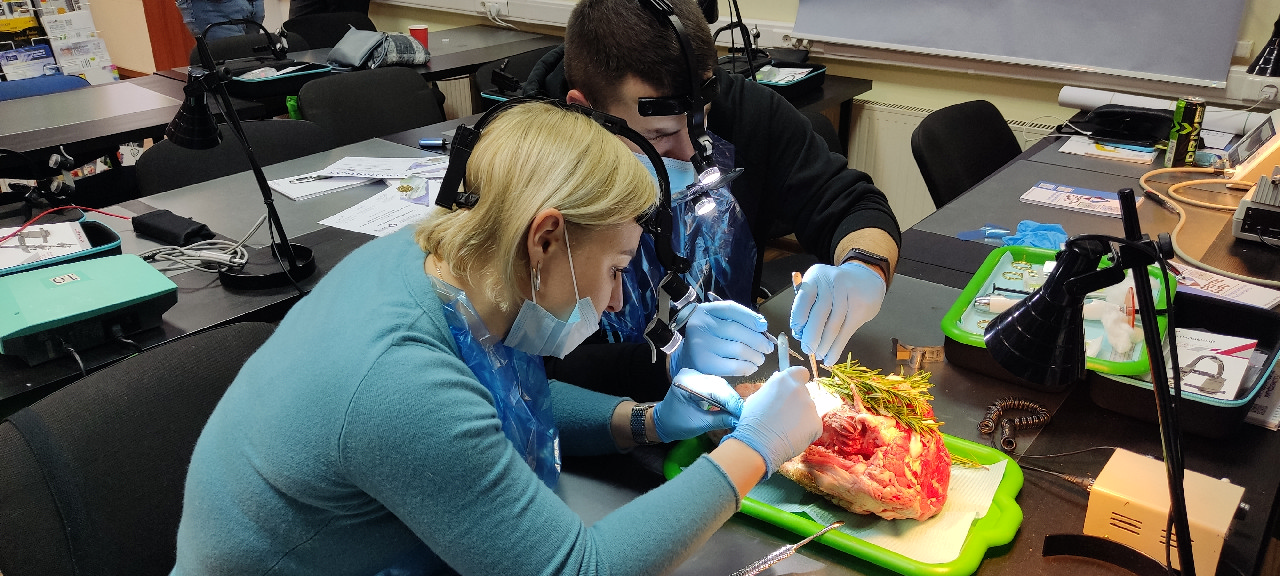 Пластика мягких тканей вокруг имплантатов. Морфологический подход