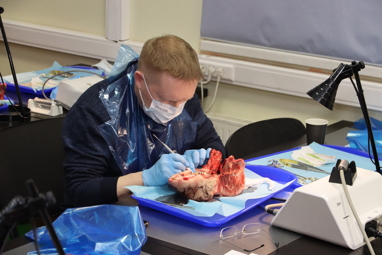 Продвинутый курс по пластике мягких тканей