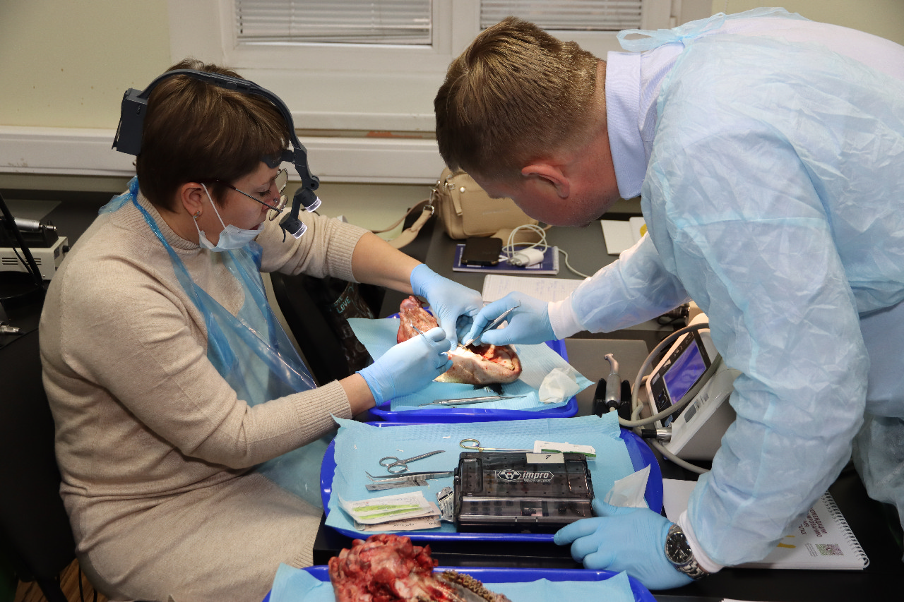 Продвинутый курс по пластике мягких тканей