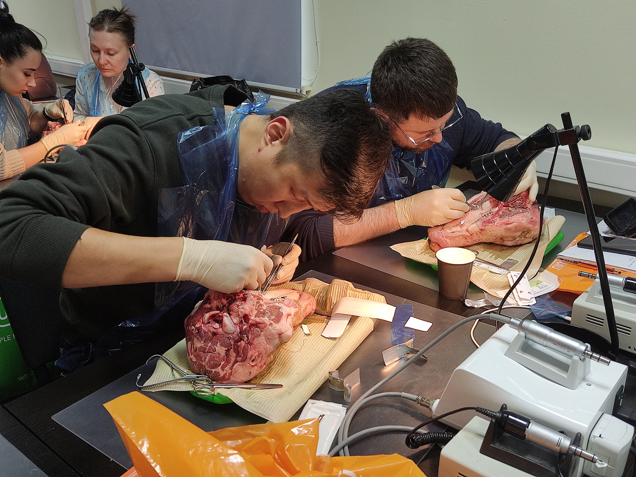 Пластика мягких тканей вокруг имплантатов. Морфологический подход