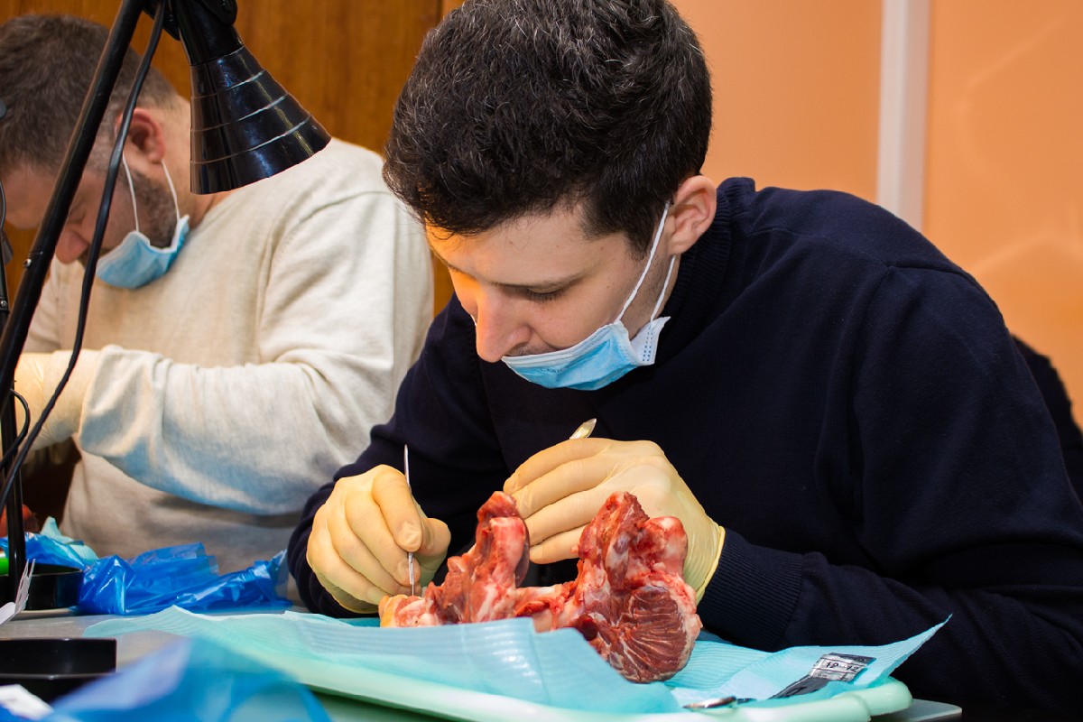 20-21 февраля 2020. Панцулая В.Г. Пластика мягких тканей вокруг имплантатов. Морфологический подход