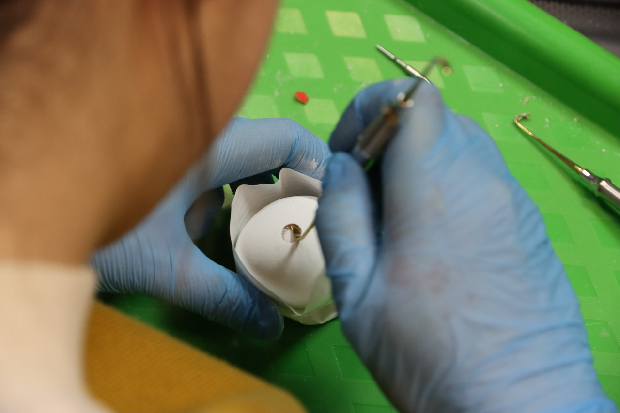 Продвинутый курс по имплантации. Костная пластика