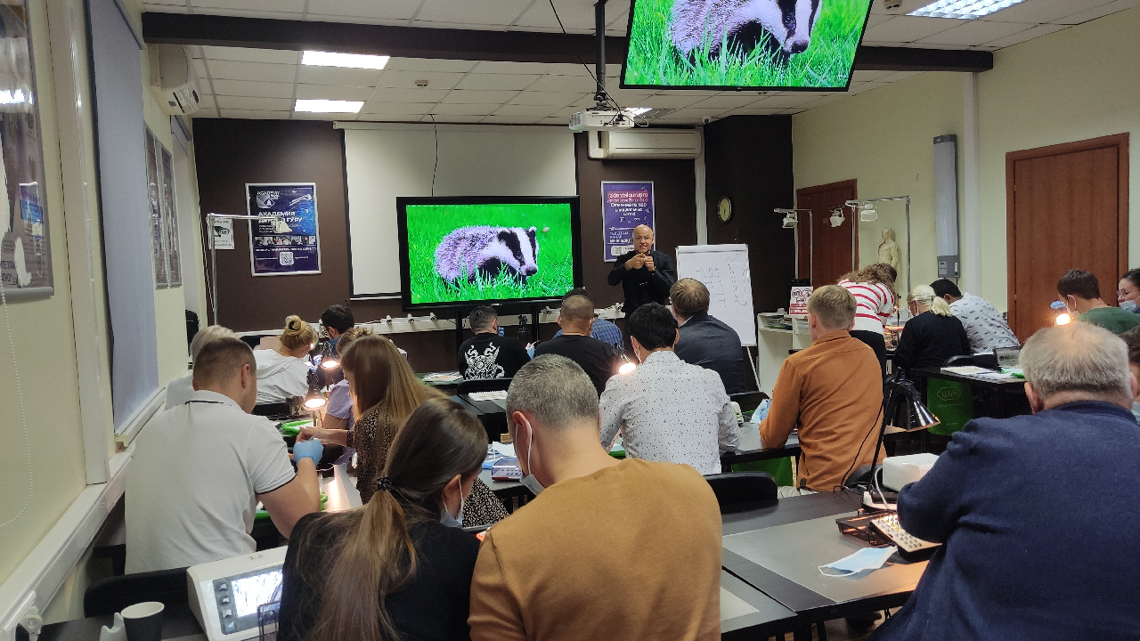 Базовый курс по имплантации