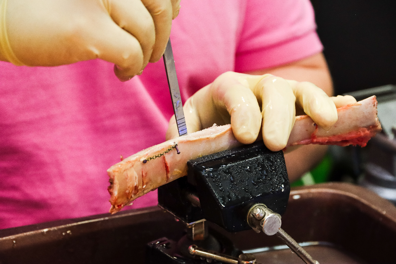 Продвинутый курс по имплантации. Костная пластика и синус-лифтинг