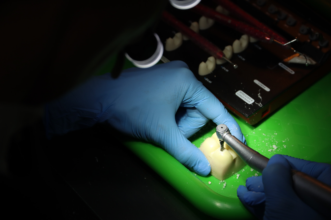 Продвинутый курс по имплантации: костная пластика и синус-лифтинг