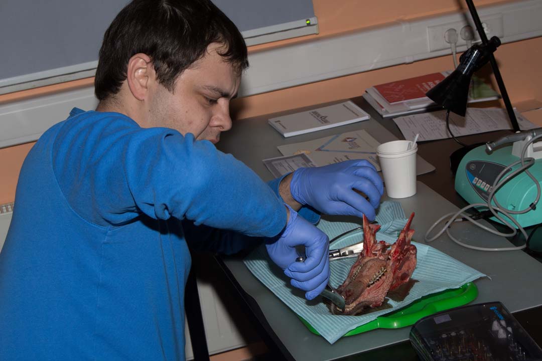 Как спасти имплантат? Стратегия и тактика в лечении периимплантита. Этиопатогенетическая и прогностическая концепции