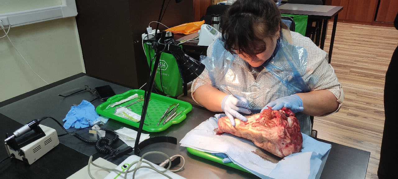 Хирургический курс по пародонтологии