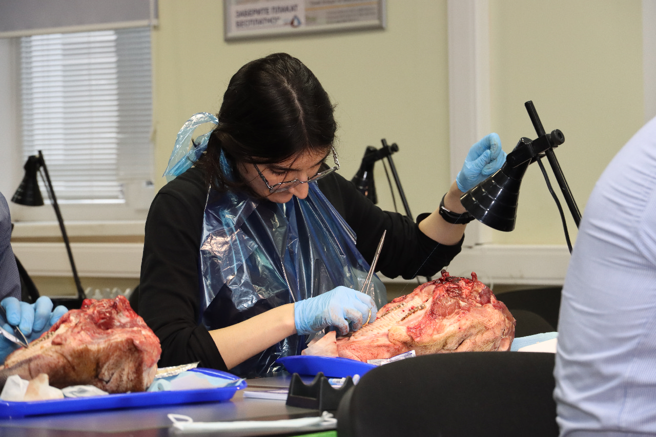 Пластика мягких тканей вокруг имплантатов. Морфологический подход