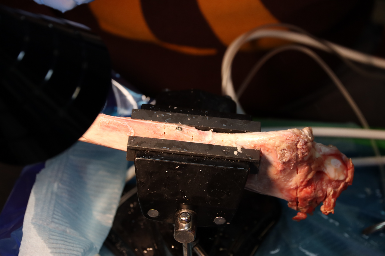 Продвинутый курс по имплантации 10-11 февраля