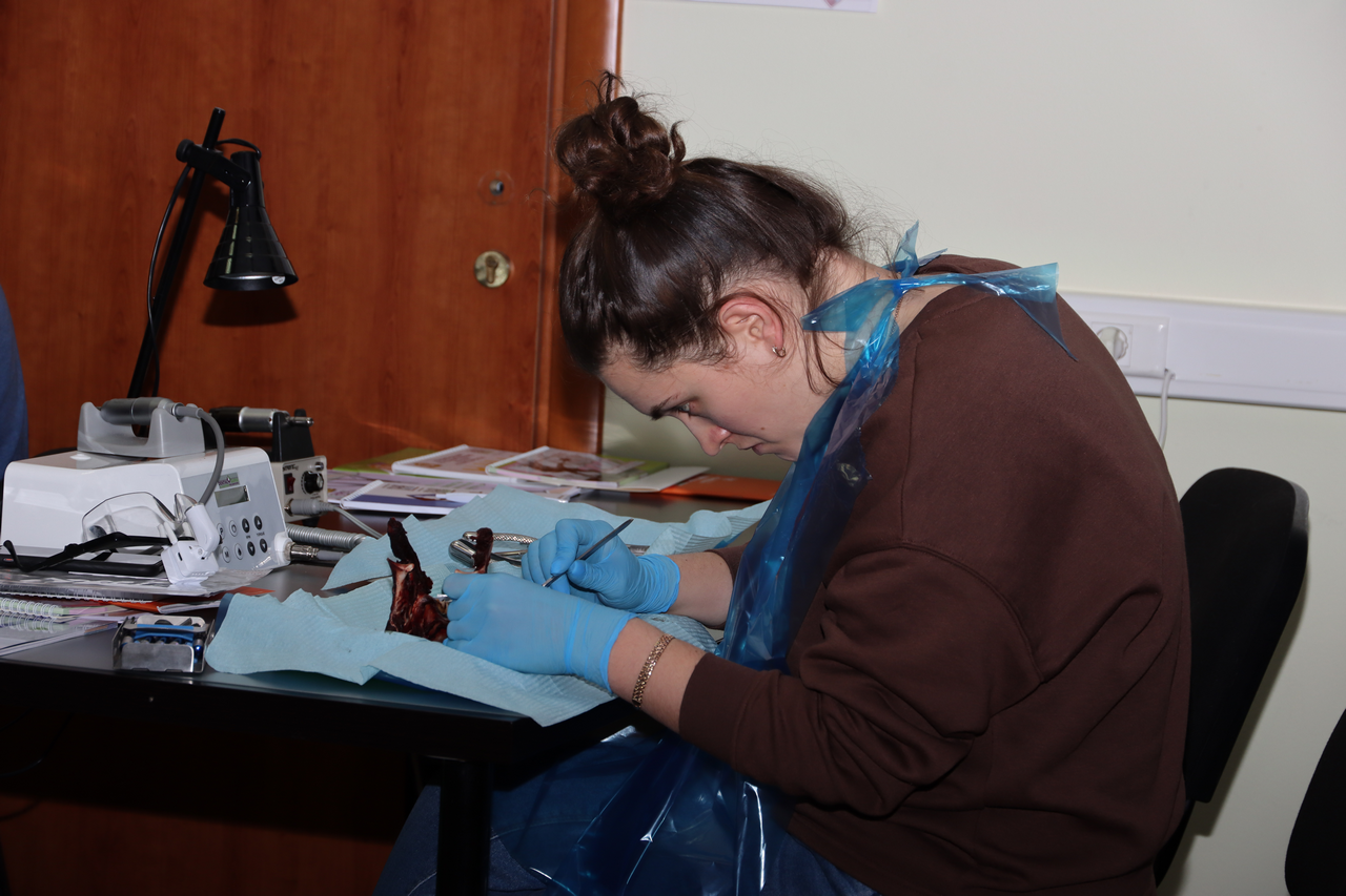 Атравматичное удаление зубов и методики наложения швов 26.01.22