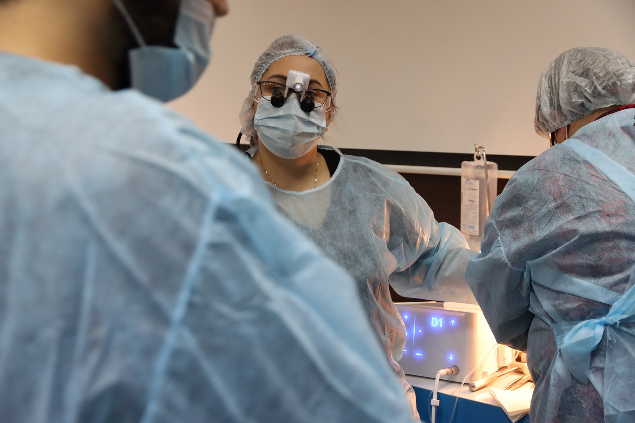 Кадавер-курс Виталия Георгиевича Панцулая 14 ноября