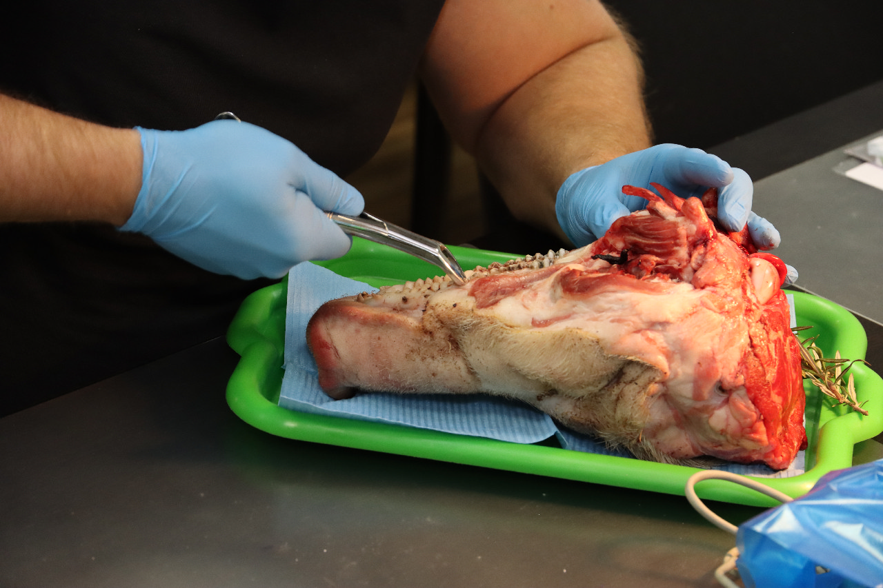 Атравматичное удаление зубов и методики наложения швов