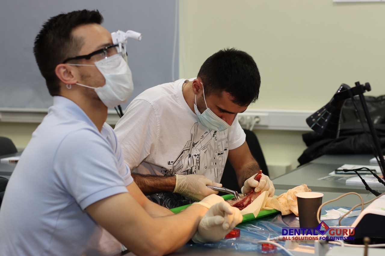 Атравматичное удаление зубов и методики наложения швов. Пост-релиз 3 августа 2021