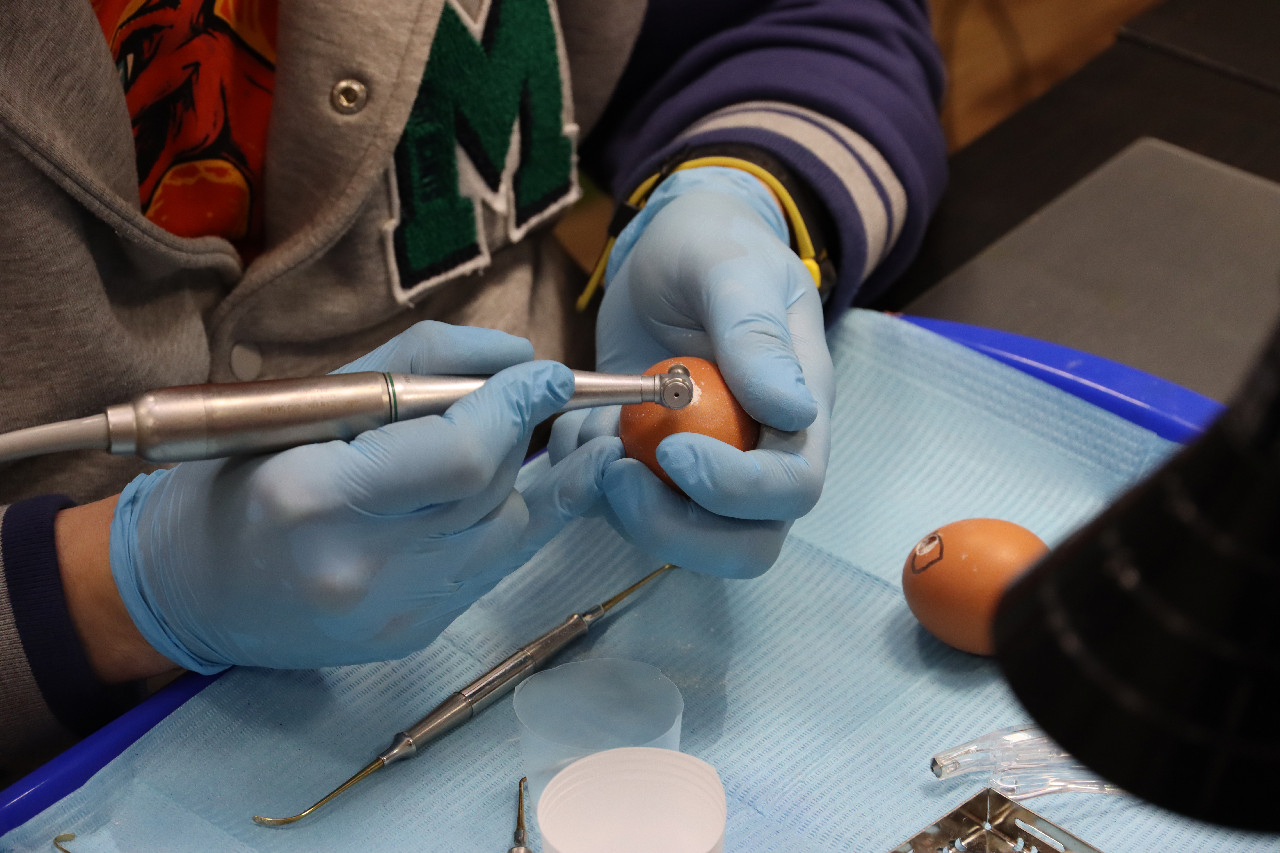 Продвинутый курс по имплантации