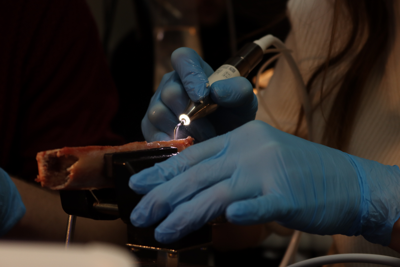 Продвинутый курс по имплантации. Костная пластика