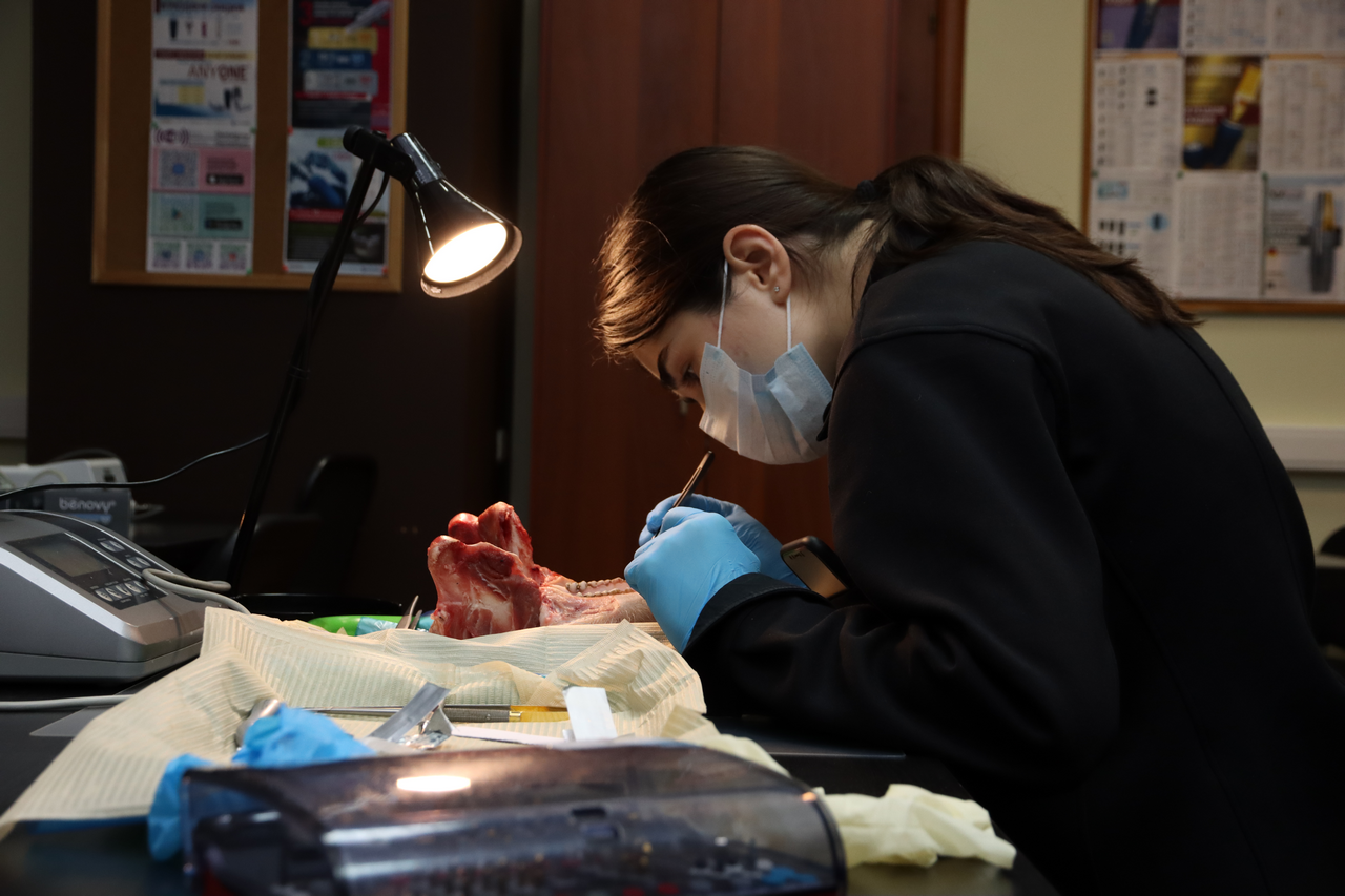 Дентальная имплантация с одновременной пластикой мягких тканей в сложных клинических случаях