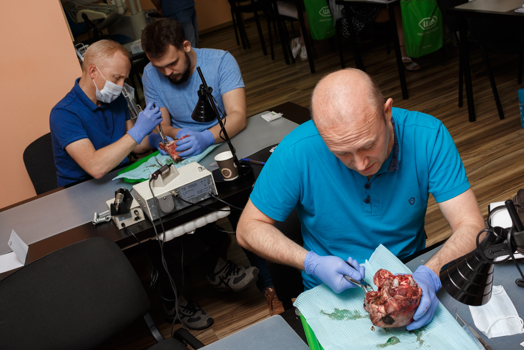 Атравматичное удаление зубов и методики наложения швов