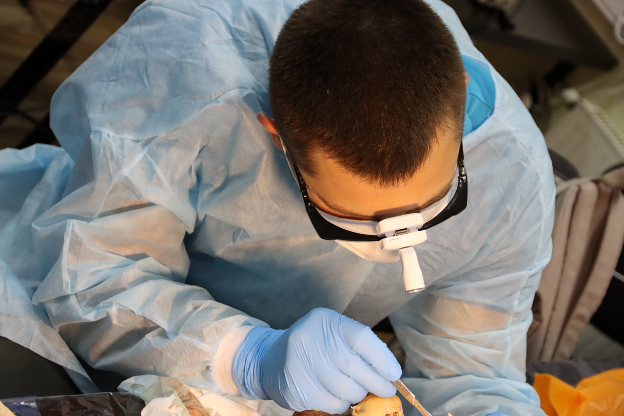 Кадавер-курс Виталия Георгиевича Панцулая