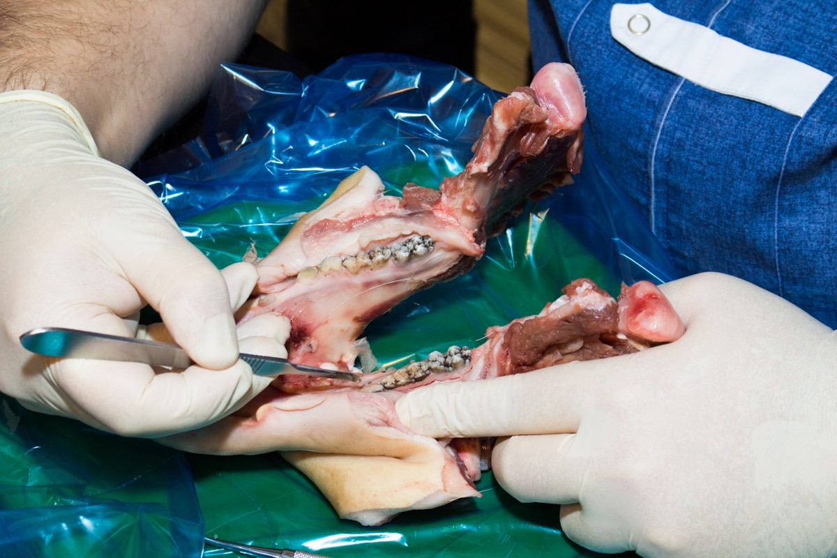 13-14 ноября. Хирургический курс по пародонтологии. Ерохин А.И.