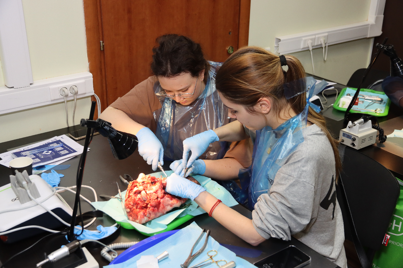 Атравматичное удаление зубов и методики наложения швов