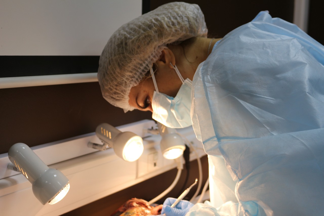 Пост-релиз. Кадавер-курс 1 марта