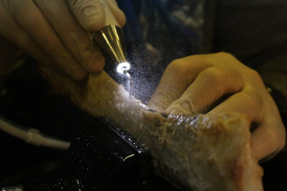 Продвинутый курс по имплантации. Костная пластика. Пост-релиз 10 и 11 марта