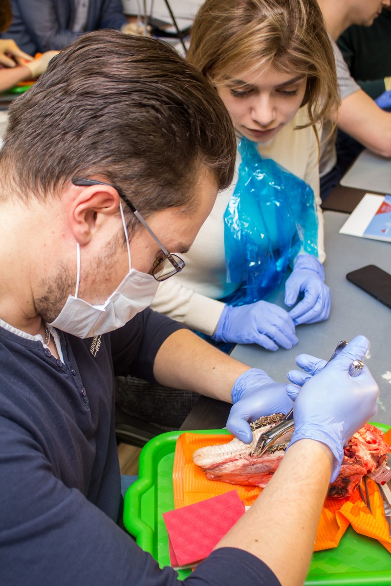 Атравматичное удаление зубов и методики наложения швов