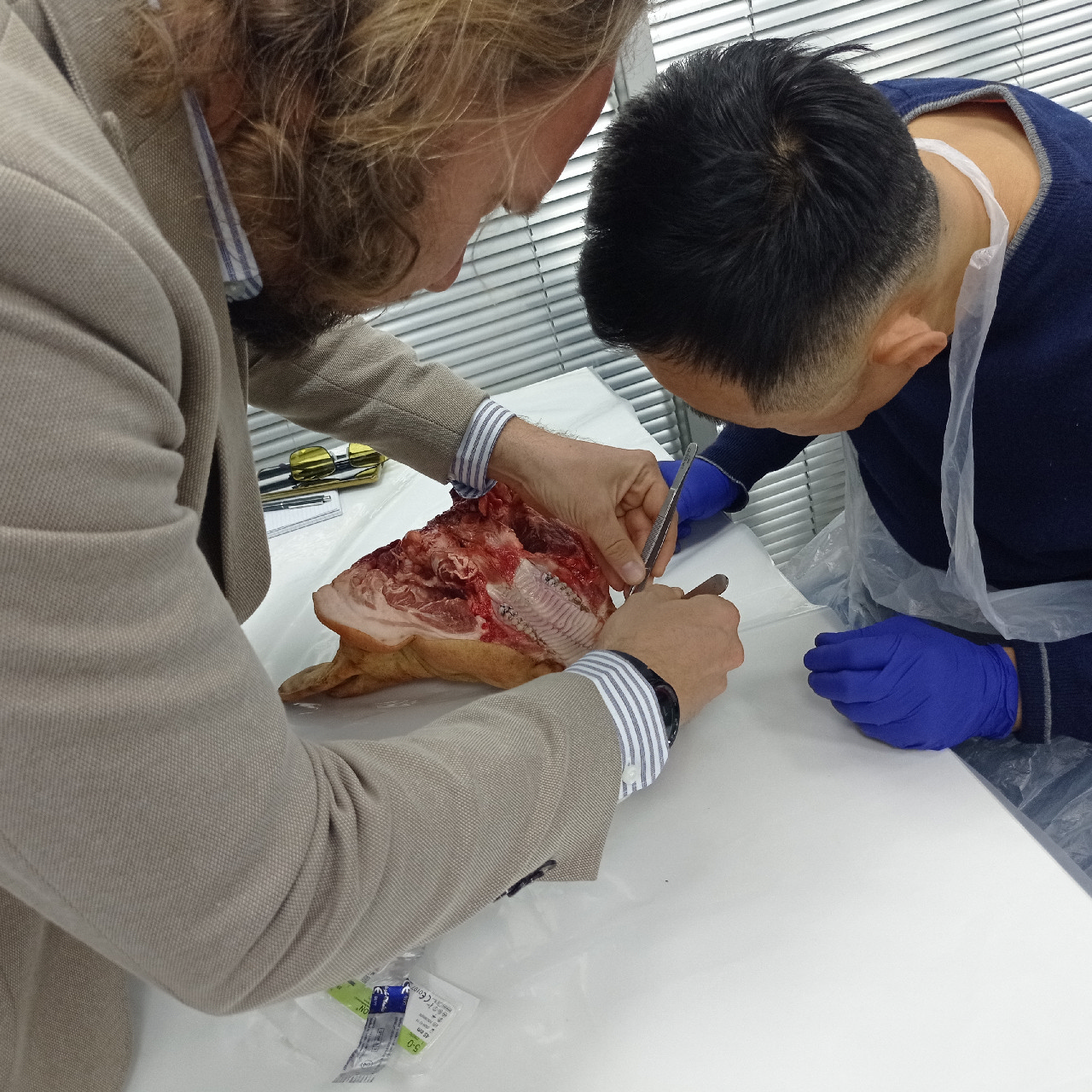 Пластика мягких тканей вокруг имплантатов. PRF в стоматологии. Курс в Казахстане