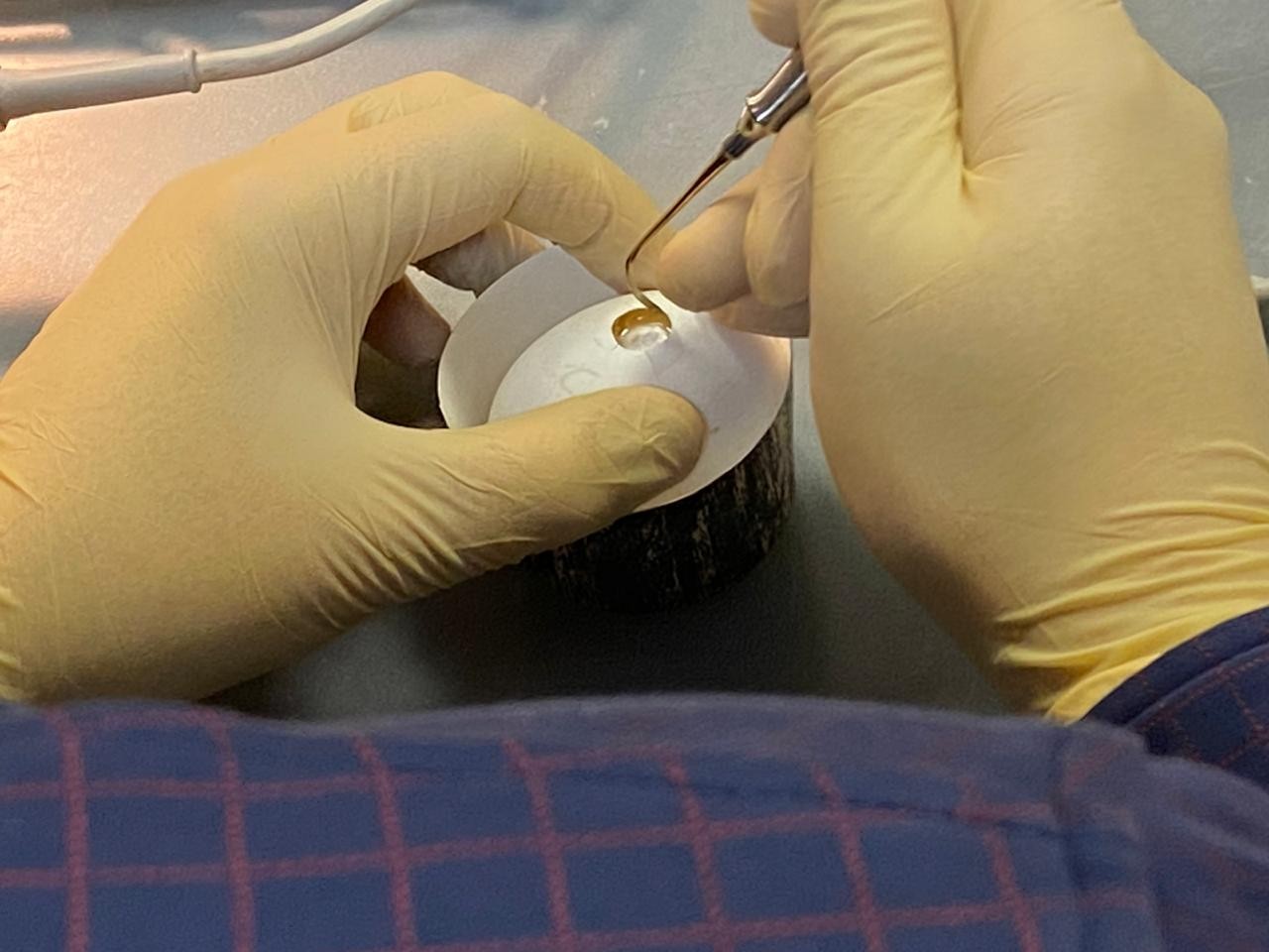 Пост-релиз "Продвинутый курс по имплантации.  Костная пластика"