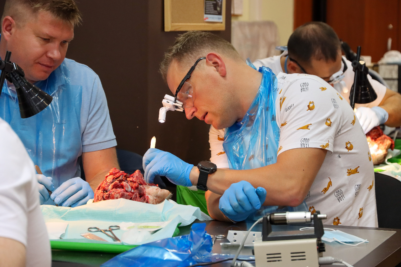 Пластика мягких тканей вокруг имплантатов. Морфологический подход