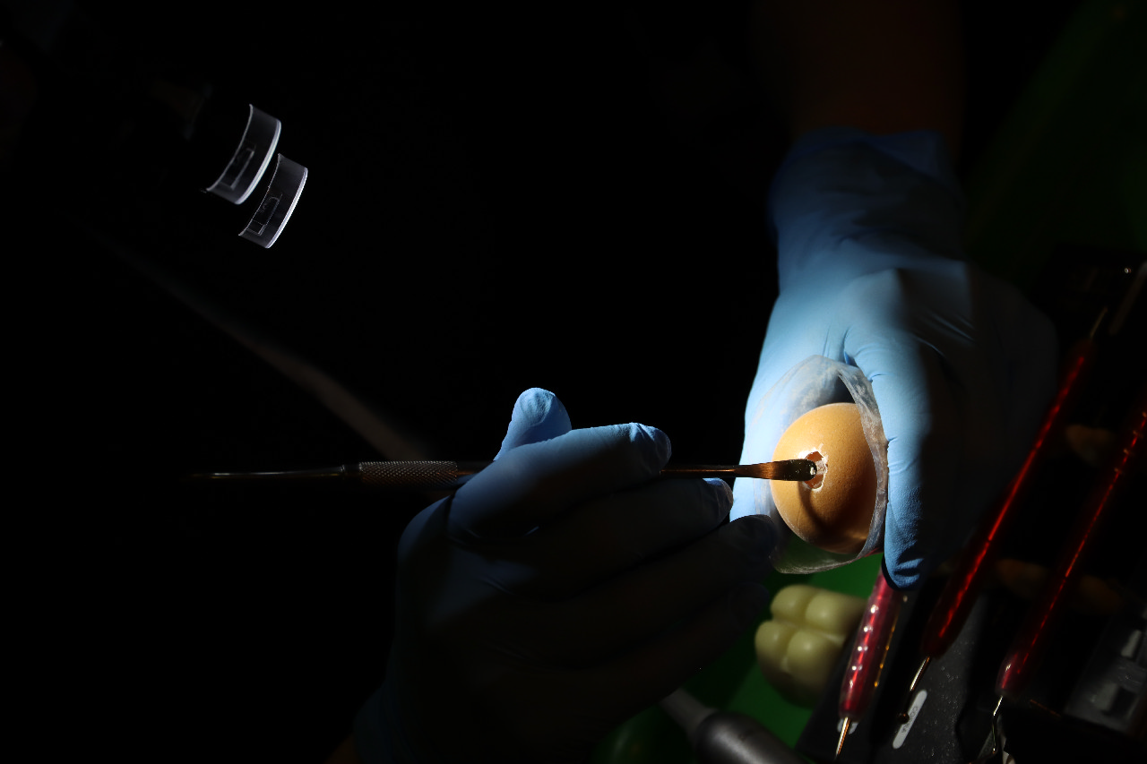 Продвинутый курс по имплантации: костная пластика и синус-лифтинг