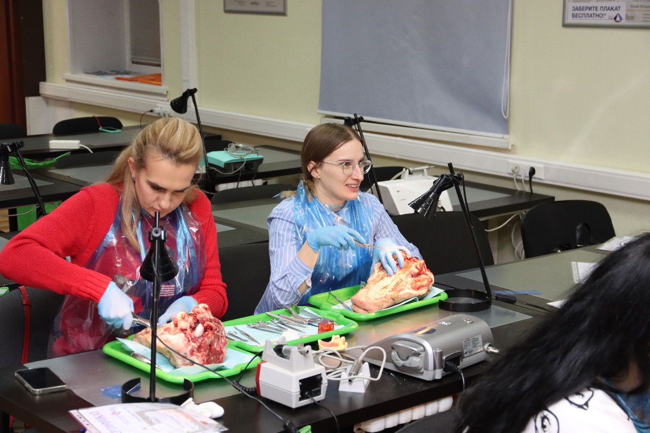 Атравматичное удаление зубов и методики наложения швов