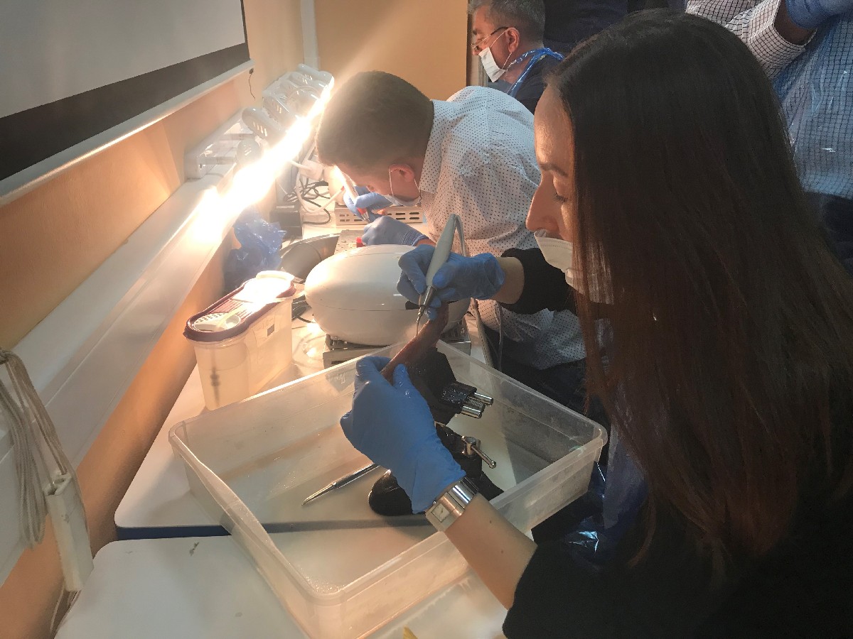 Продвинутый курс по имплантации. Костная пластика. 5-6 марта.