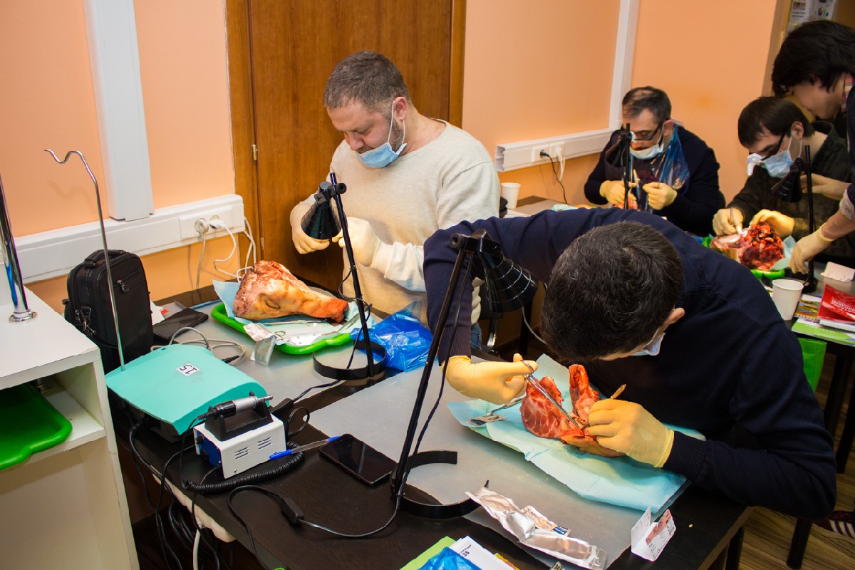 20-21 февраля 2020. Панцулая В.Г. Пластика мягких тканей вокруг имплантатов. Морфологический подход