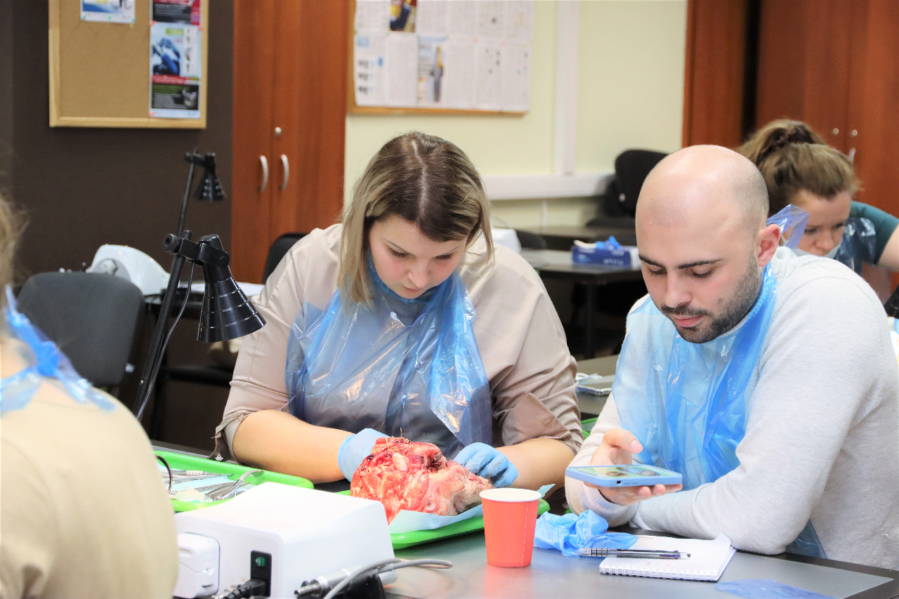 Атравматичное удаление зубов и методики наложения швов