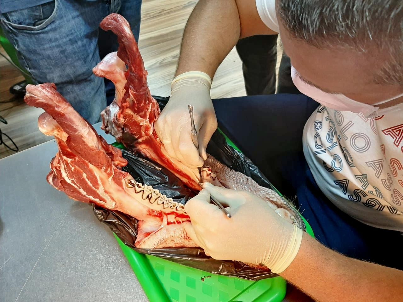 Продвинутый курс по имплантации. Костная пластика. 17-18 июля.