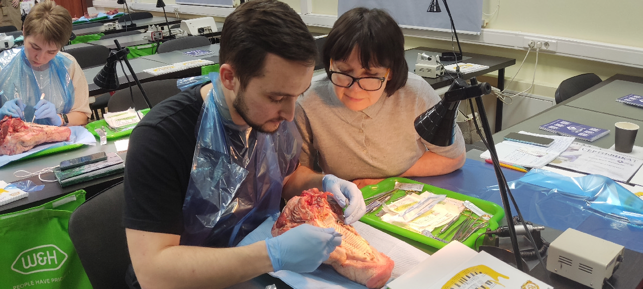 Хирургический курс по пародонтологии