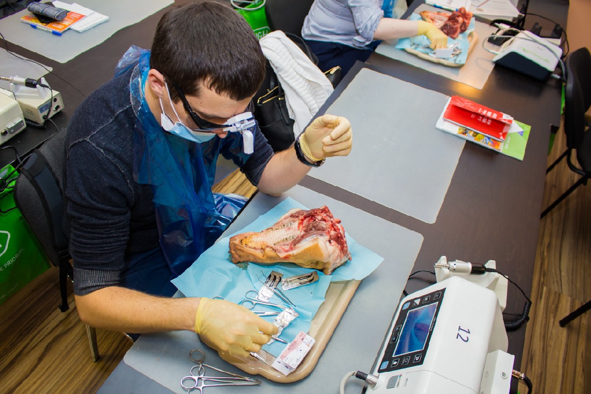 20-21 февраля 2020. Панцулая В.Г. Пластика мягких тканей вокруг имплантатов. Морфологический подход