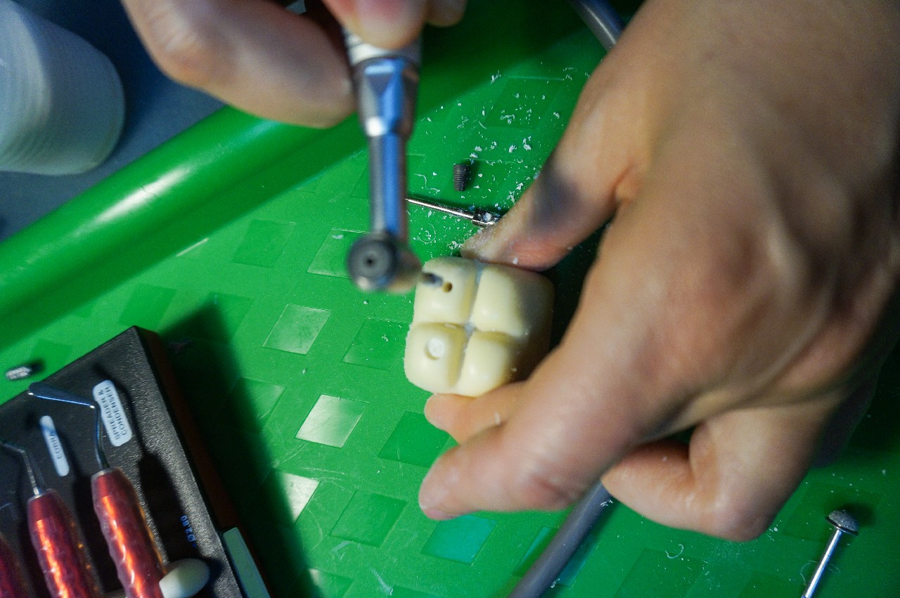 Продвинутый курс по имплантации. Костная пластика